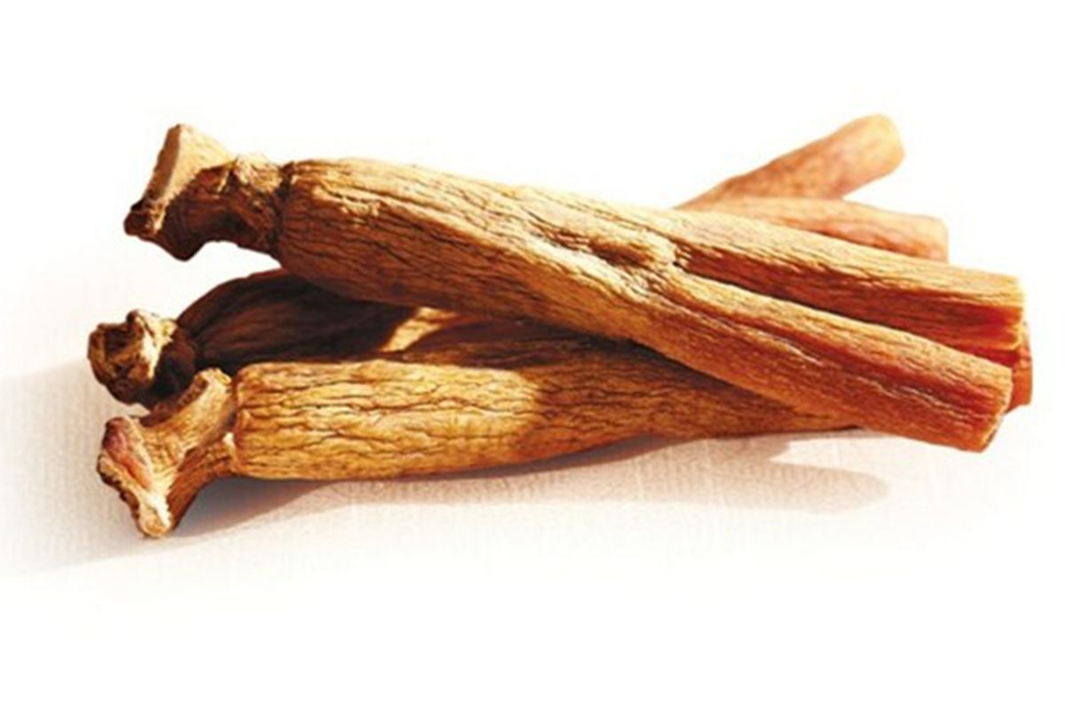 Ginseng Merah