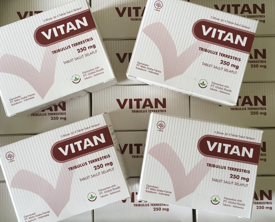Obat Kuat Di Apotik: Manfaat Vitan Tablet Dan Kandungan Vitamin Yang Tersedia Untuk Kebutuhan Pria