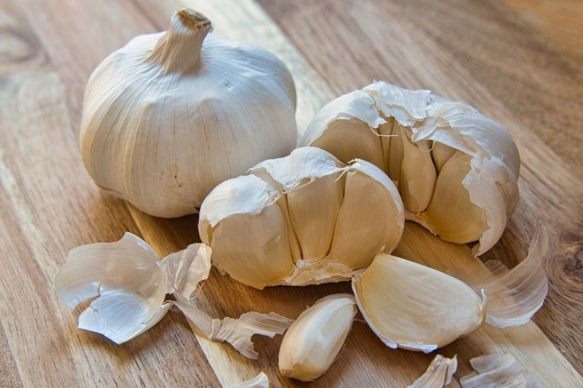 Obat Kuat Alami Bawang Putih