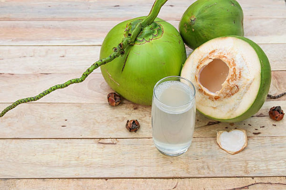 kelapa muda